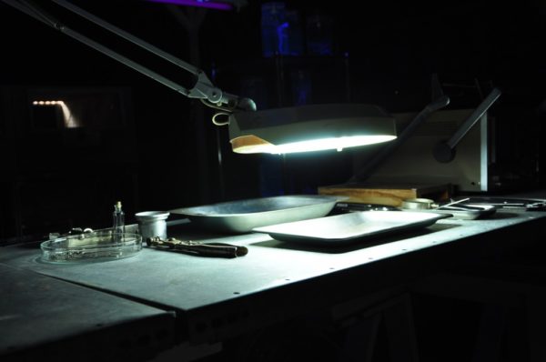 Oerol – Louter Kabouter